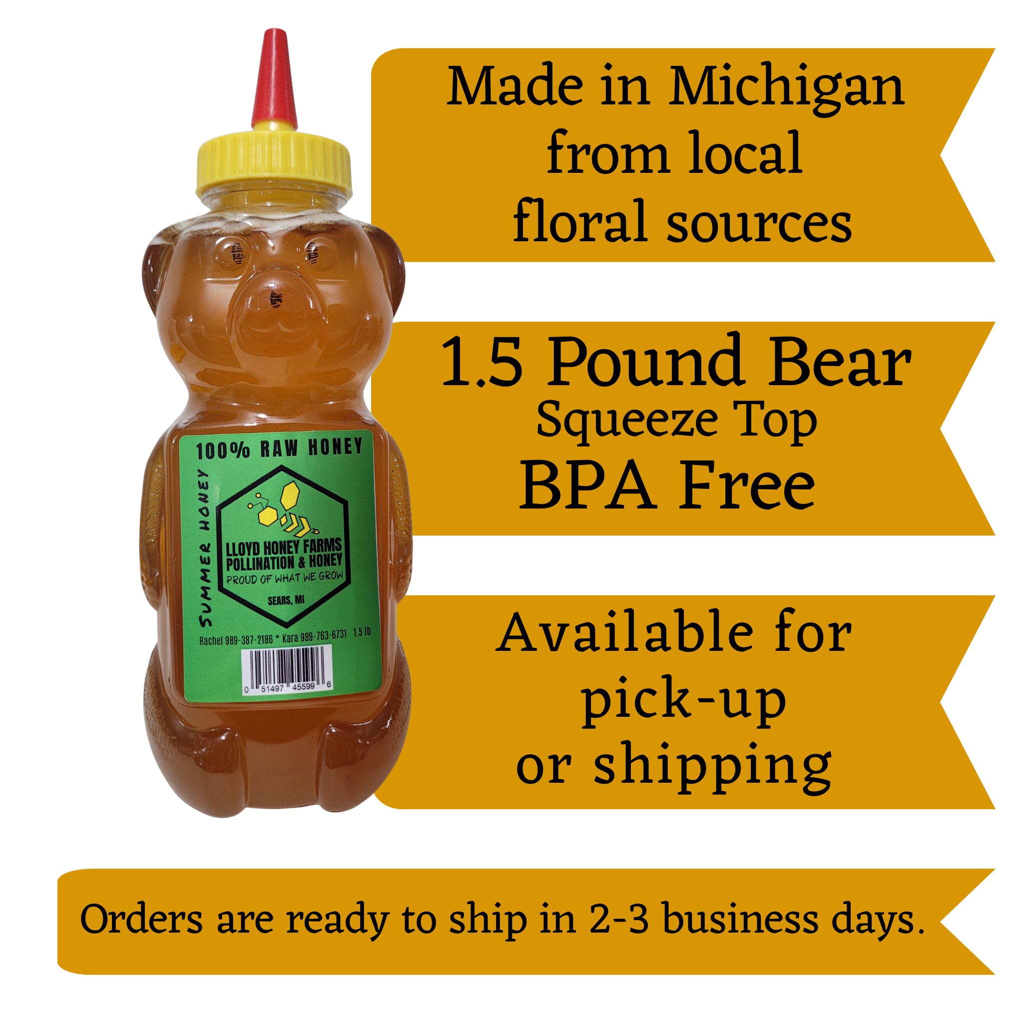 1.5 lb Raw Honey Teddy Bear