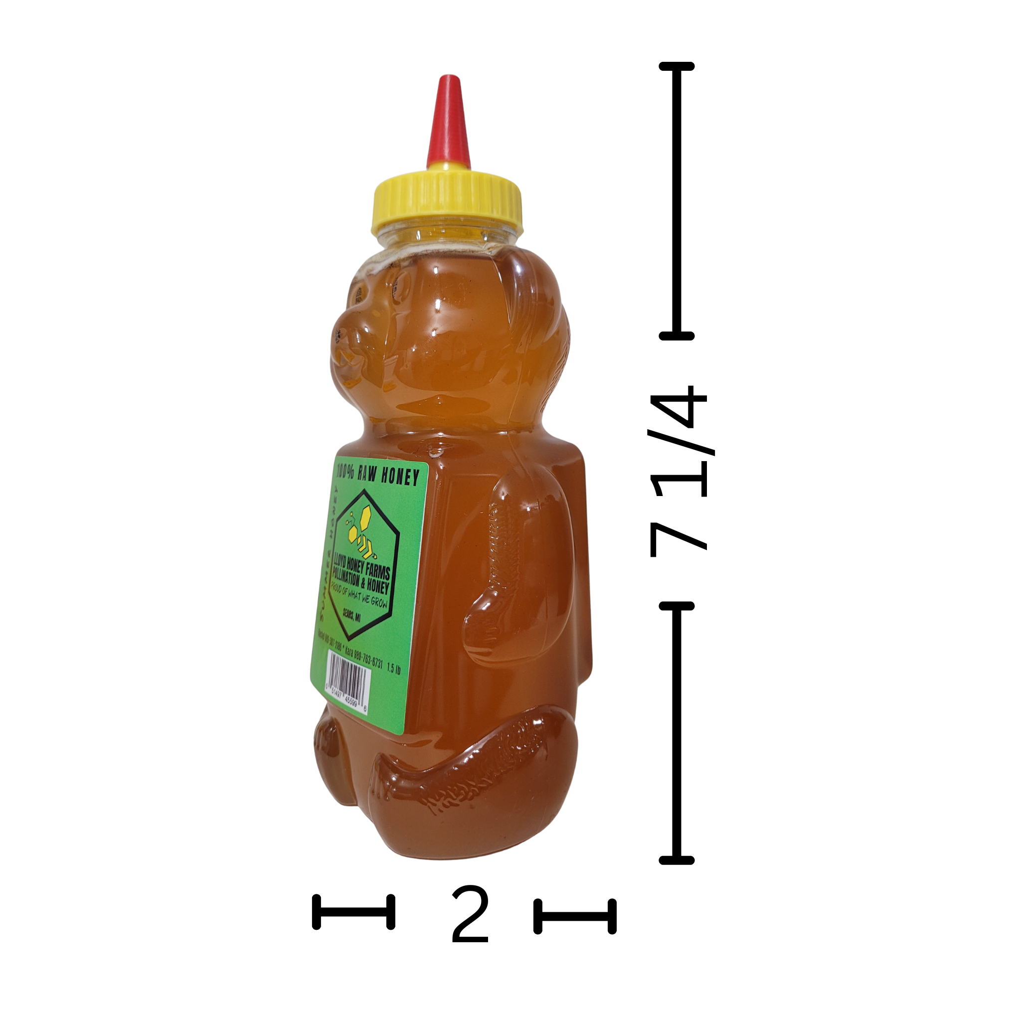 1.5 lb Raw Honey Teddy Bear