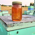 Chunk Honey